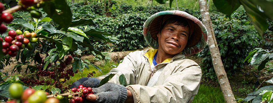 Jumiran, Fairrade-Kaffekleinbauer aus Indonesien