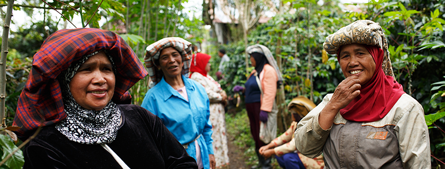 Frauen einer Fairtrade-Kaffeekooperative in Indonesien