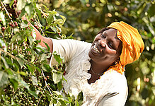 Productrice de café au Kenya
