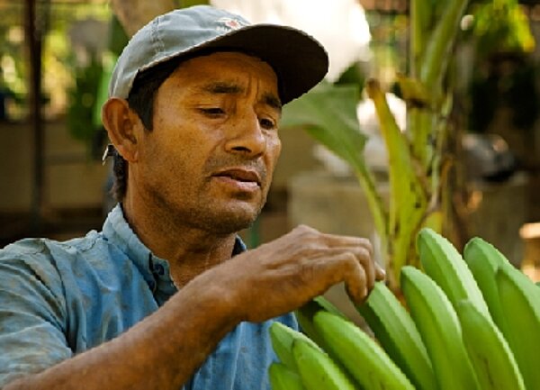 Bananenbauer bei APPBOSA