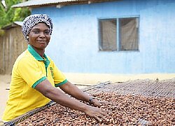 La coopérative cacao Kuapa Kokoo au Ghana