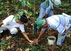 Die Kaffee- und Kakao-Kooperative "Satipo" aus Peru