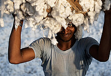 Producteur de coton en Inde