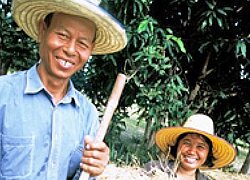 Die Reis-Kooperative Organic Jasmine Rice Producer Group in Thailand
