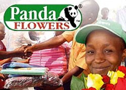 Die Blumenfarm Panda Flowers in Kenia