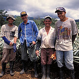 2003_Ananas_Asoproagroin_Costa_Rica_ouvriers.jpg