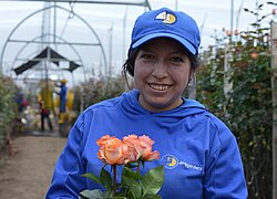 Die Blumenfarm Joygardens in Ecuador