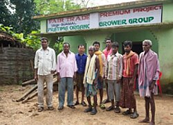 La coopérative Pratima Organic Grower Group en Inde