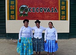La coopérative du café CECOVASA en Pérou