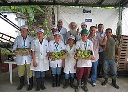 Die Bananen- und Granadillas-Plantage Frutas Comerciales in Kolumbien