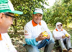 La coopérative d'oranges COOPERSANTA - Cooperativa de frutas de Pequeños Agricultores de Sta. Maria au Brésil